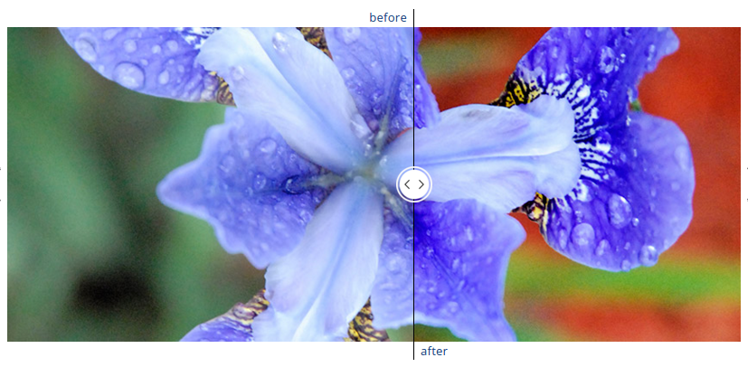 photo editing software for color correction