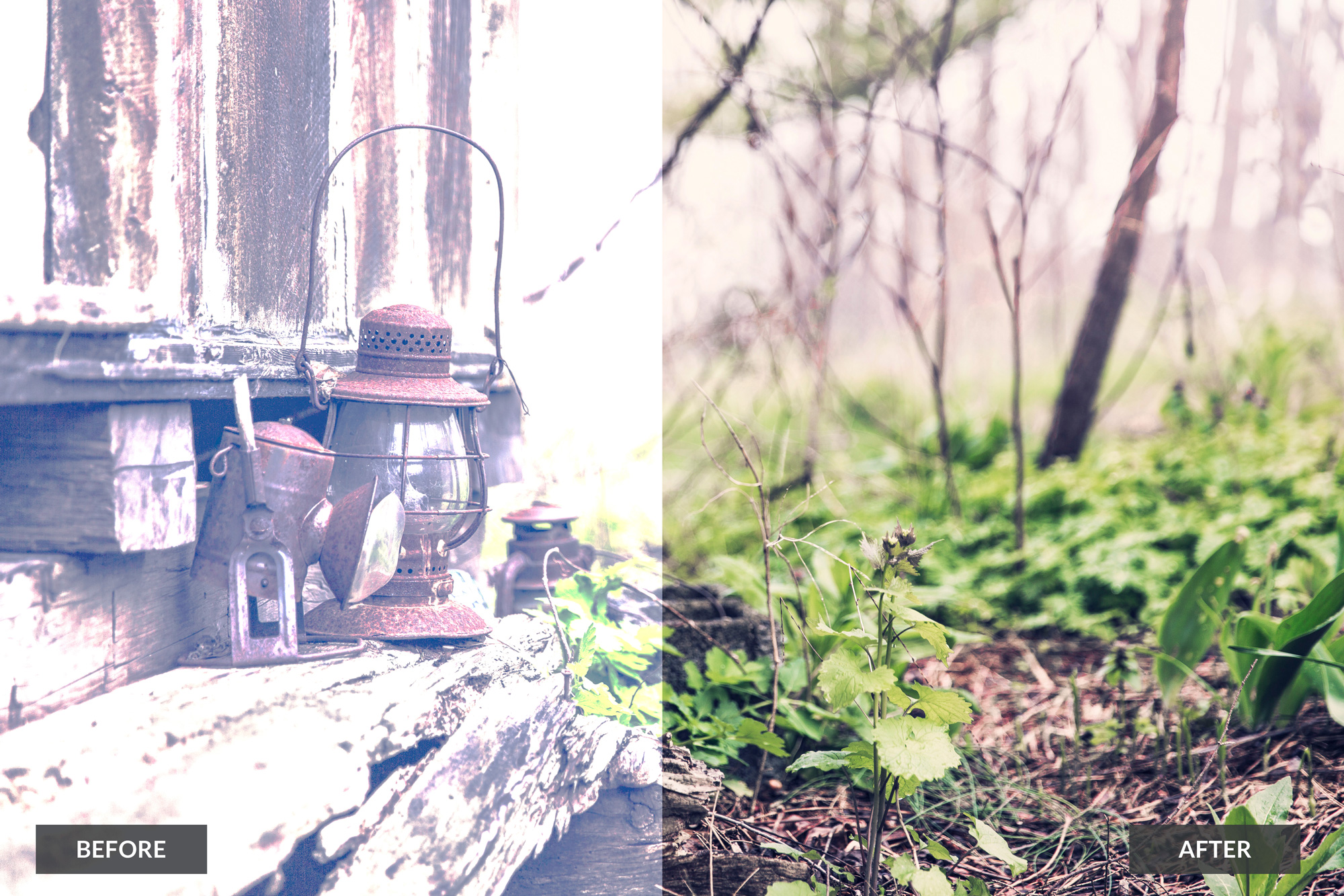 free actions for photoshop free actions for photoshop