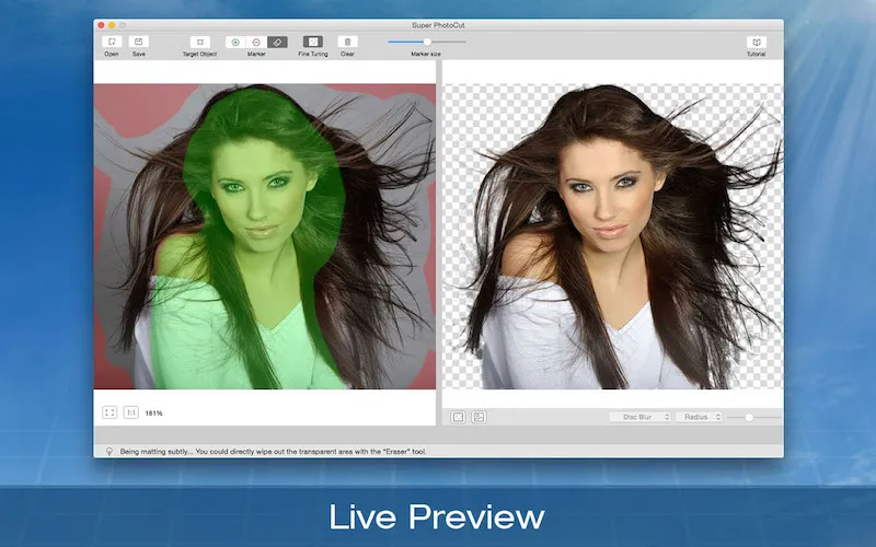 Live Preview image background remover image