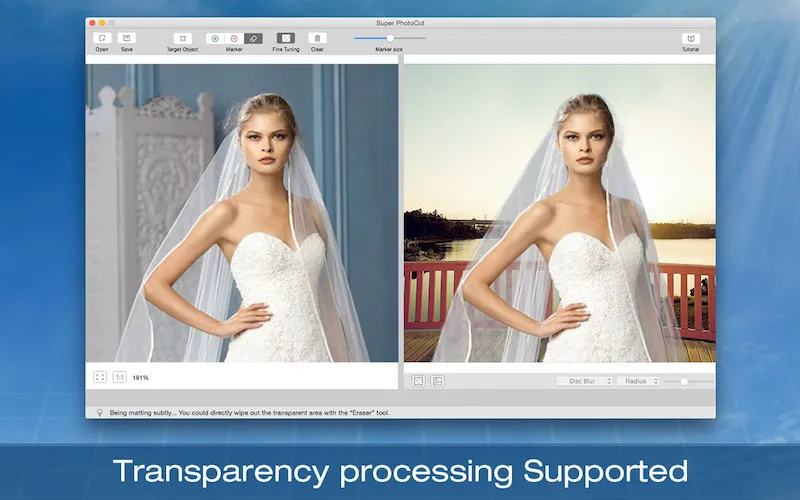 Transparency processing Support Preview image