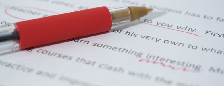 Ginger Software - Grammar Check Software