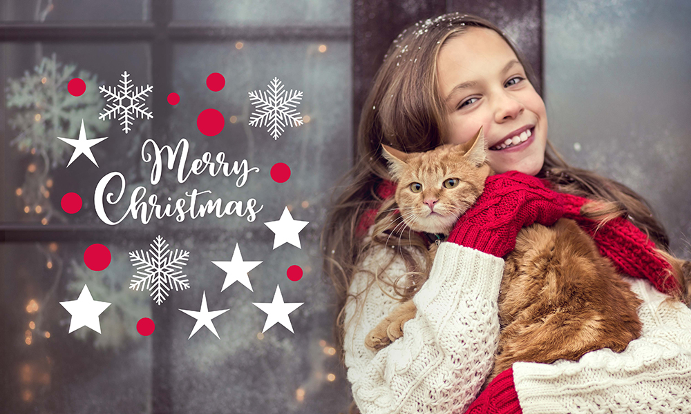 Xmas with stars and snowflakes Photo & Text Overlay 50 Photo & Text Overlays Bundle - Xmas 2