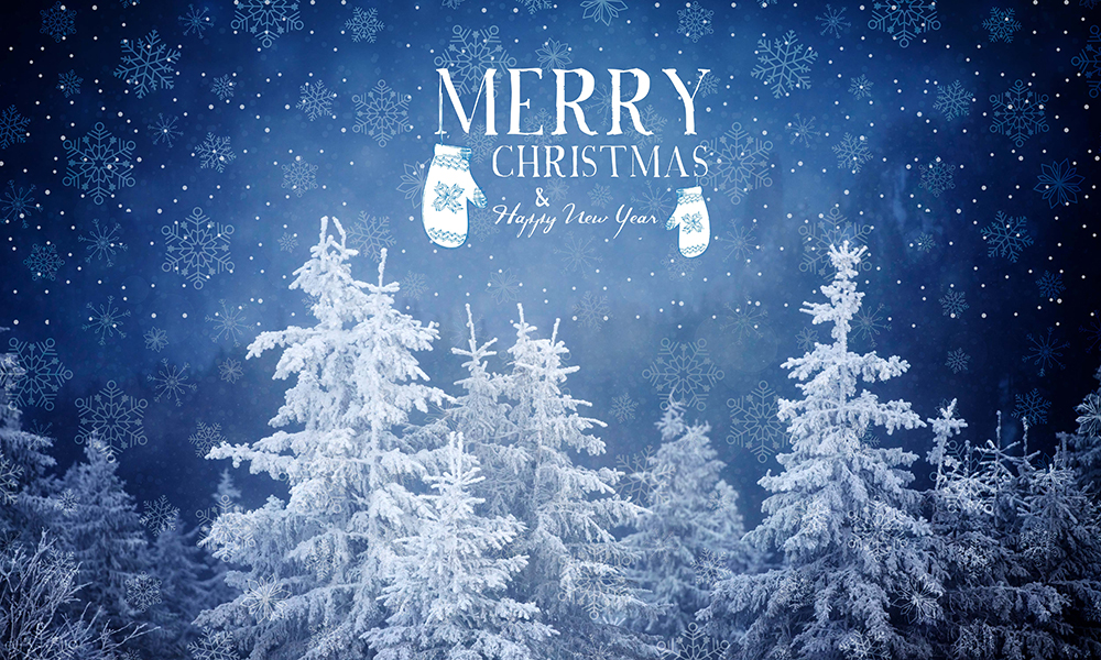 Merry Xmas Photo & Text Overlay 50 Photo & Text Overlays Bundle - Merry Xmas