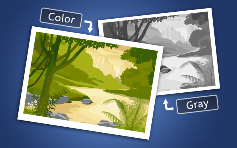 Super Vectorizer Tool - photo vector software is used to vectorize a landscape of a forest image.