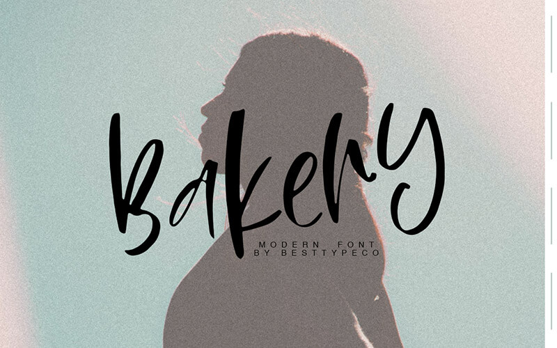 Bakery-Font 51 Elegant & Creative Fonts From The Amazing Fonts Bundle - Bakery