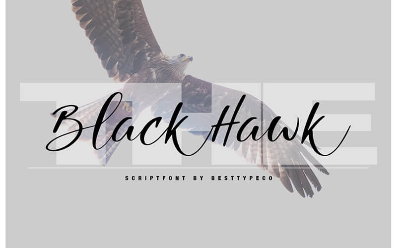 Blackhawk-Font 51 Elegant & Creative Fonts From The Amazing Fonts Bundle - Blackhawk