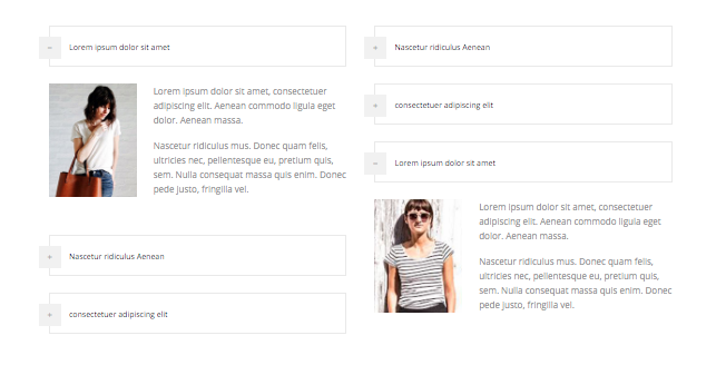 Accordian website templates in multipurpose website templates bundle