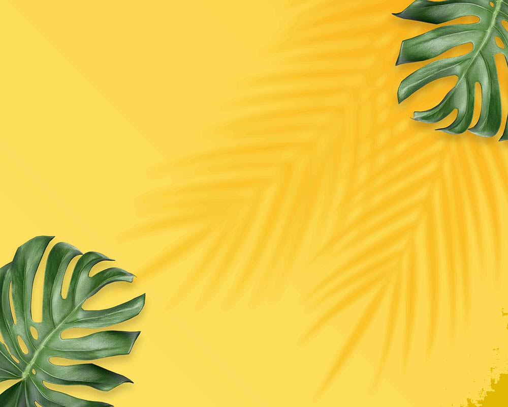 Palm leaves on yellow background