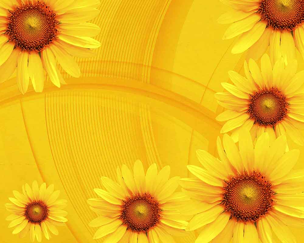 Yellow background with sunflower patterns