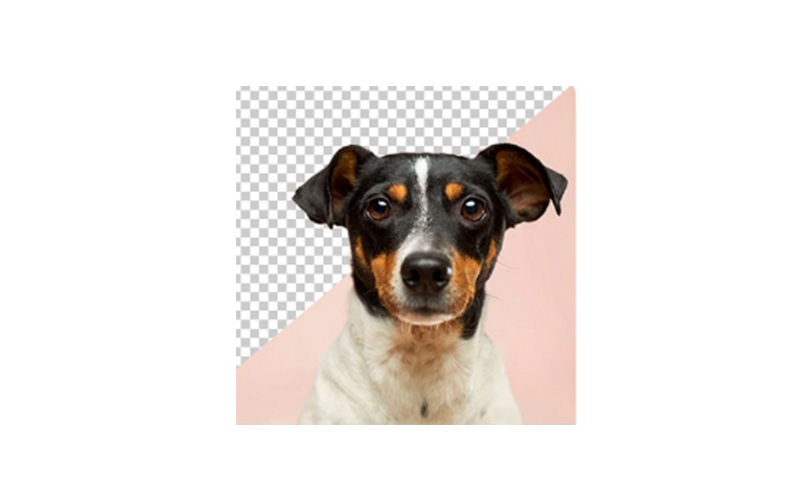 background eraser