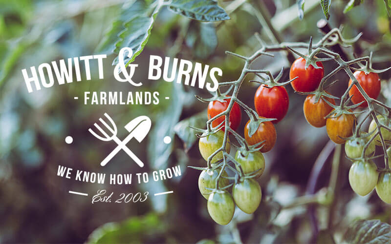 logo builder - Logo design kit