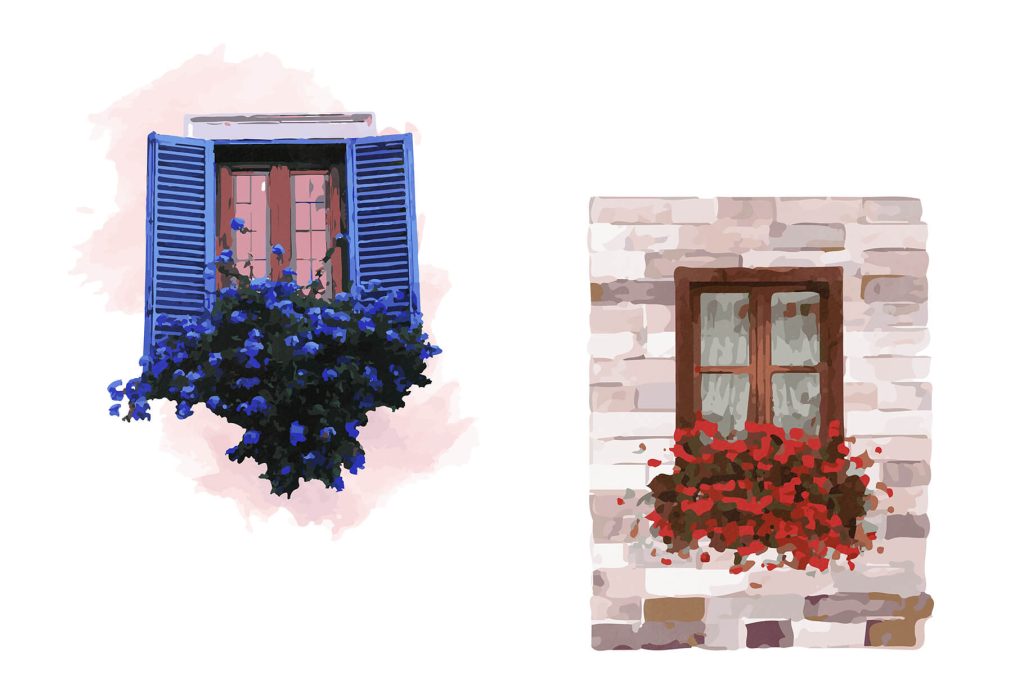 watercolor illustrations