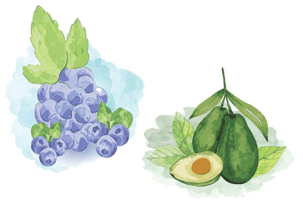 watercolor illustrations of blueberry and avocado