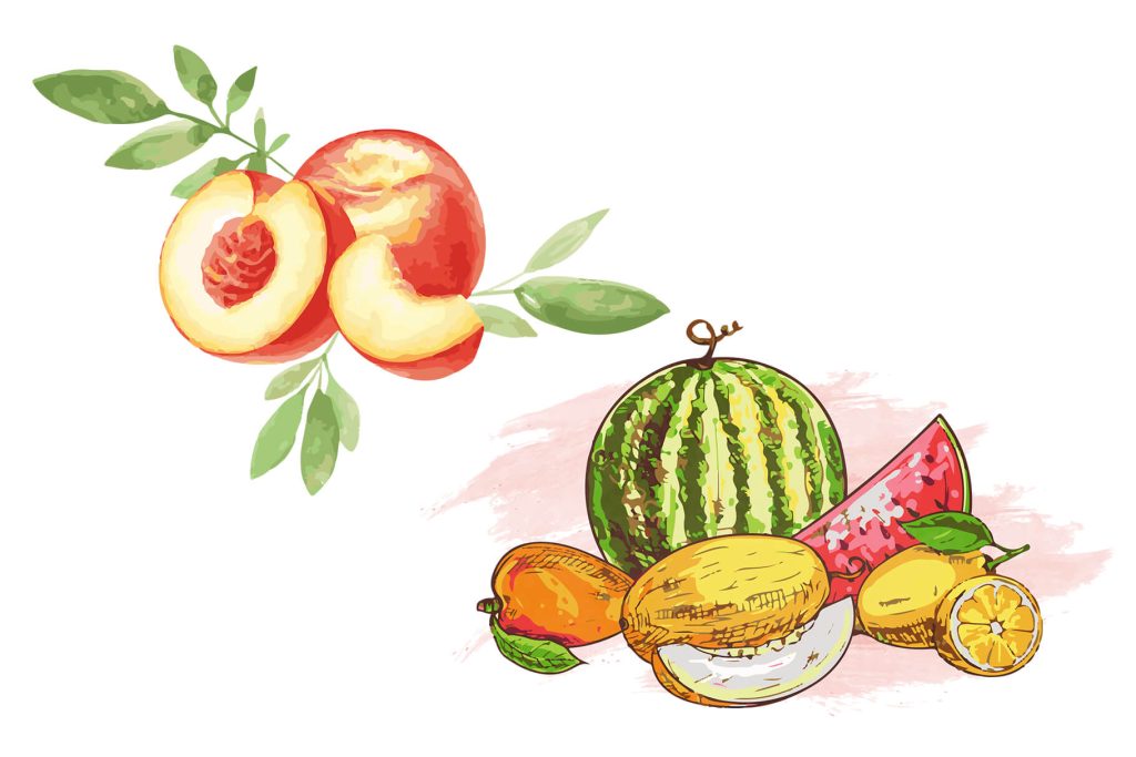 watercolor illustrations of watermelon, guava and mango