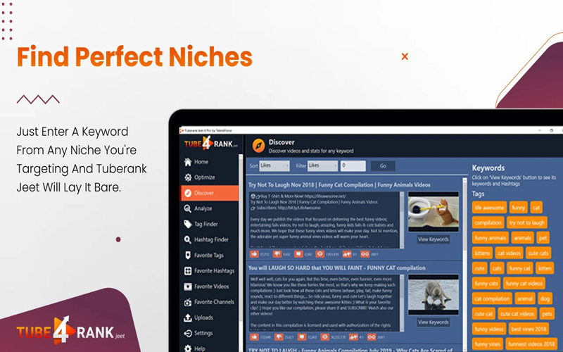 A preview of the discover tab of TubeRank Jeet.