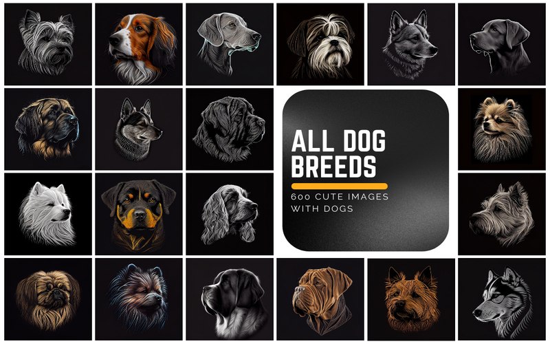 A collage of adorable dog images