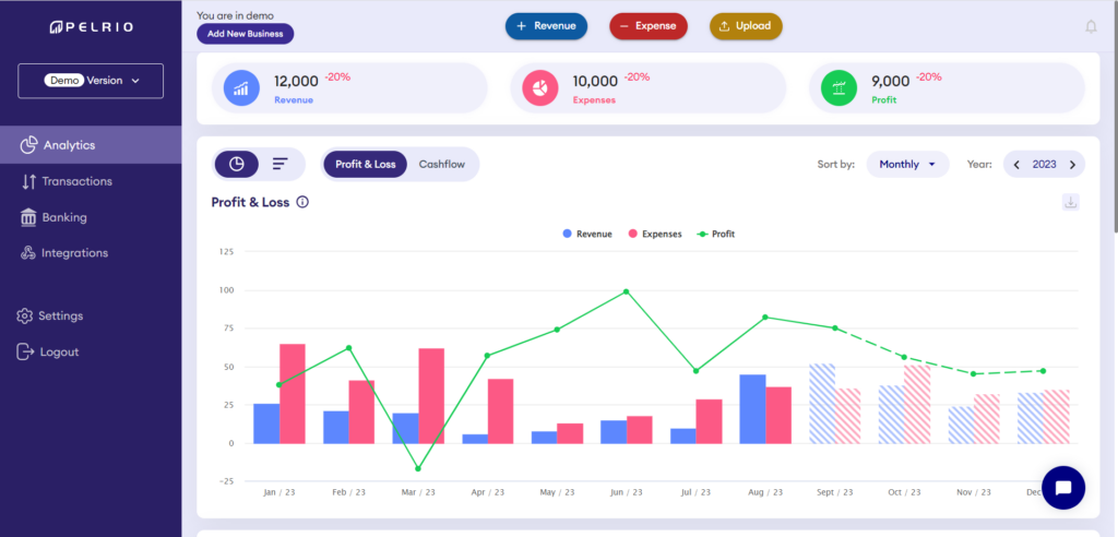 This image is displaying pelrio's profit loss dashboard