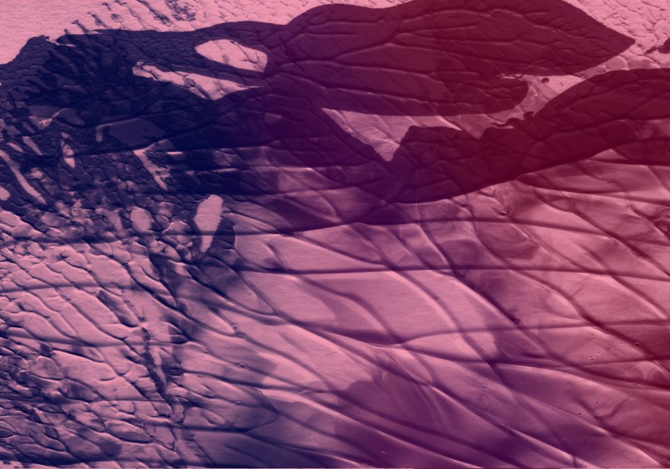 oil painting Texture background image