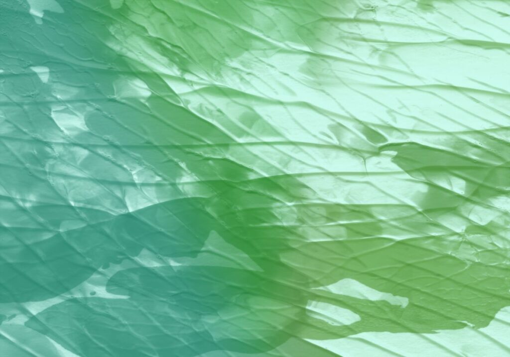 Light green oil painting Photo background image