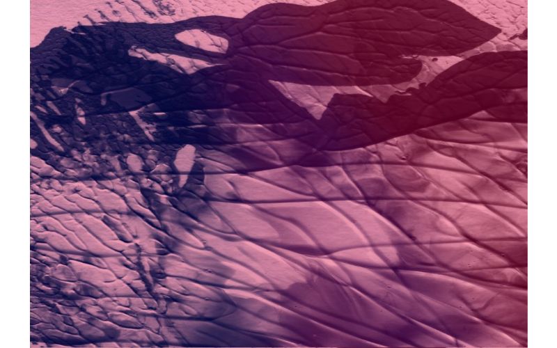 Brown Oil painting background