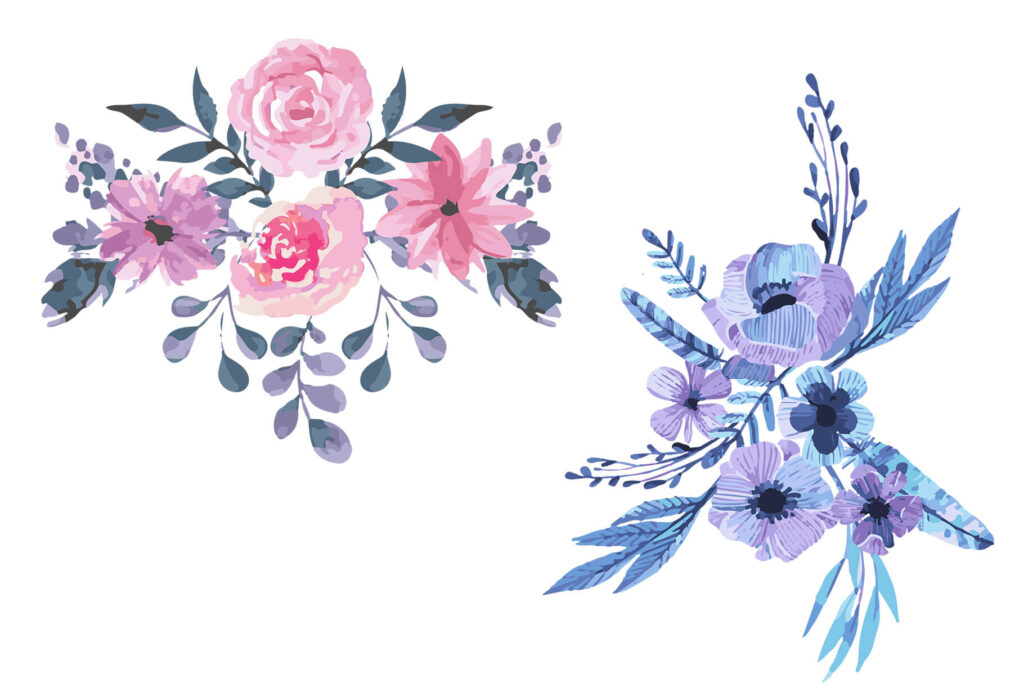 rose watercolor illustration