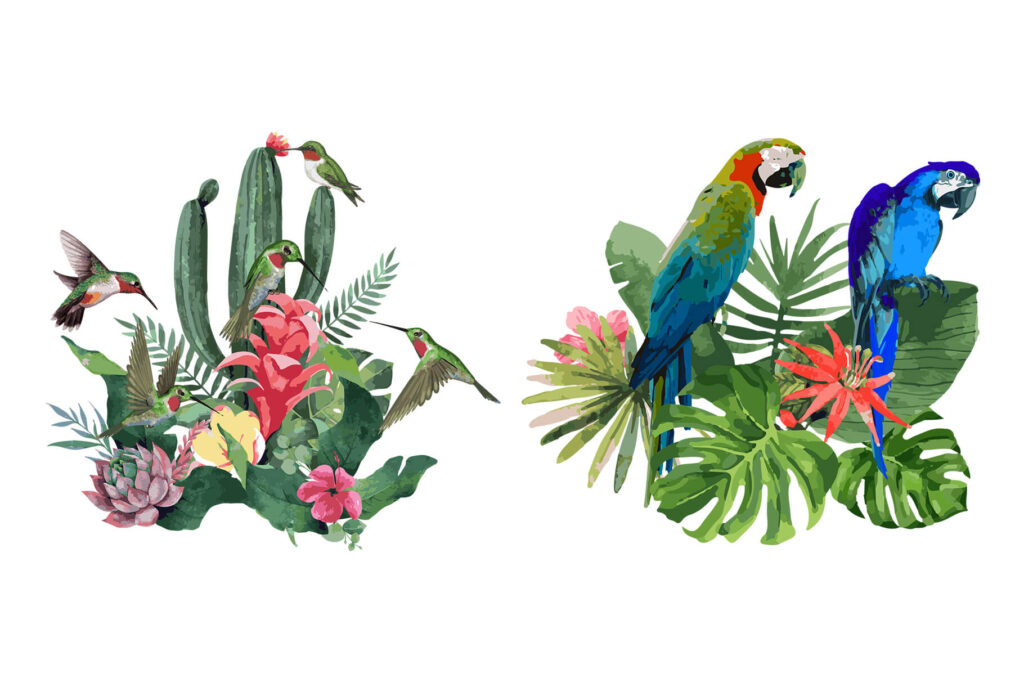 Parrot watercolor Illustration