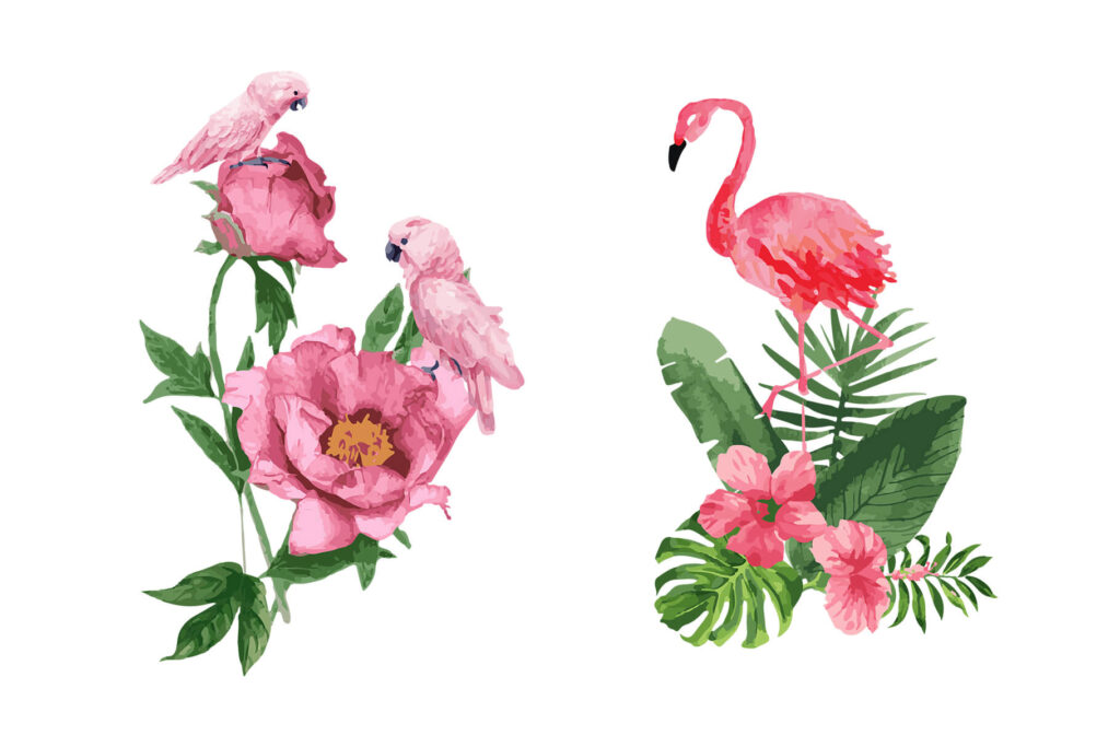 Flamingo watercolor Illustration