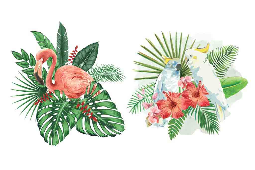 wild-birds-preview-6