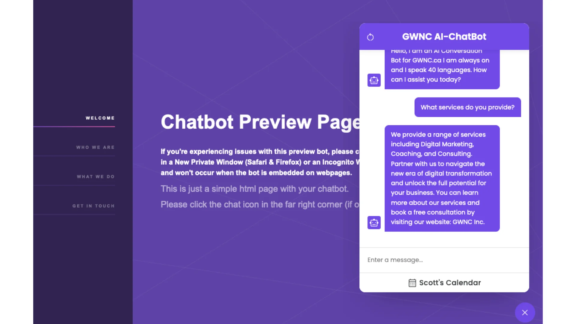 Chatbot Preview Page