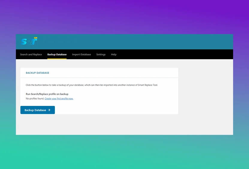 Smart Replace Tool - Simplified Migration Feature WP Data Migration Plugin