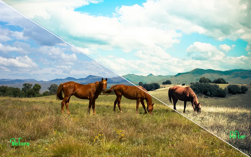 Landscape PS actions applied to an image of horses
