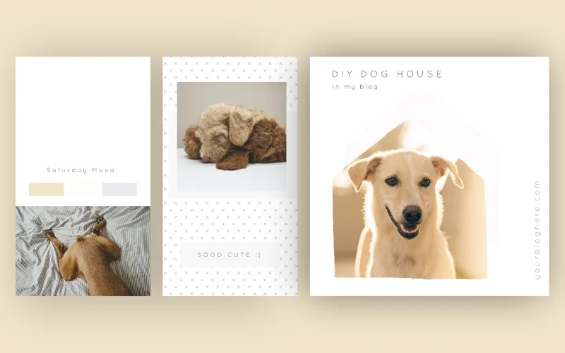 Collage of the templates for dog's ig