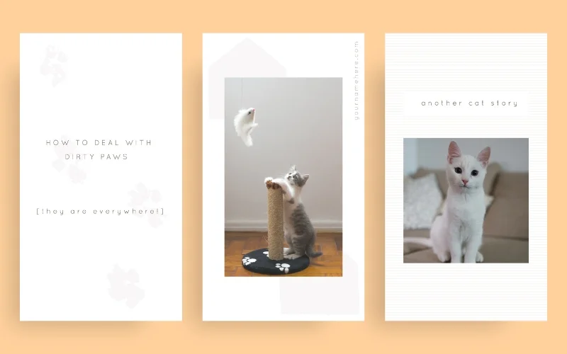 Collage of Instagram story templates for pet cats
