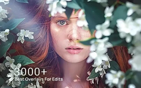 3000 Best Overlays feature image