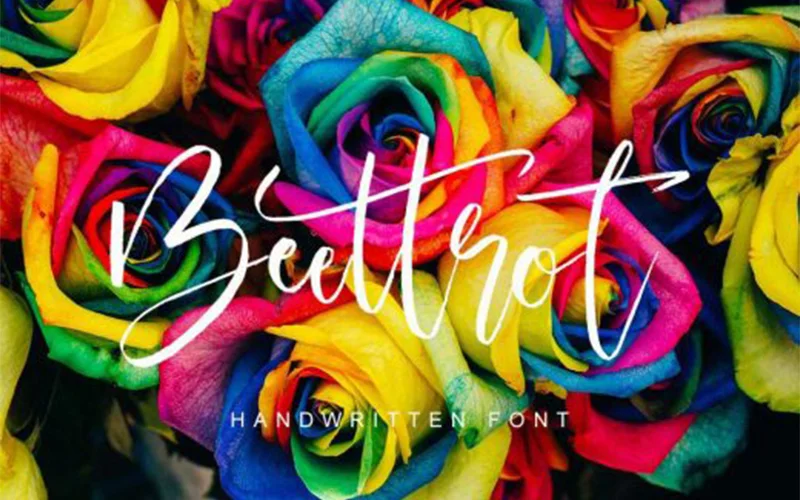 Beetrot font, handwrittenfonts
