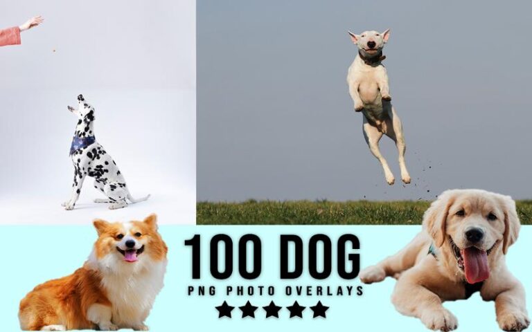 A collage of dog animal png