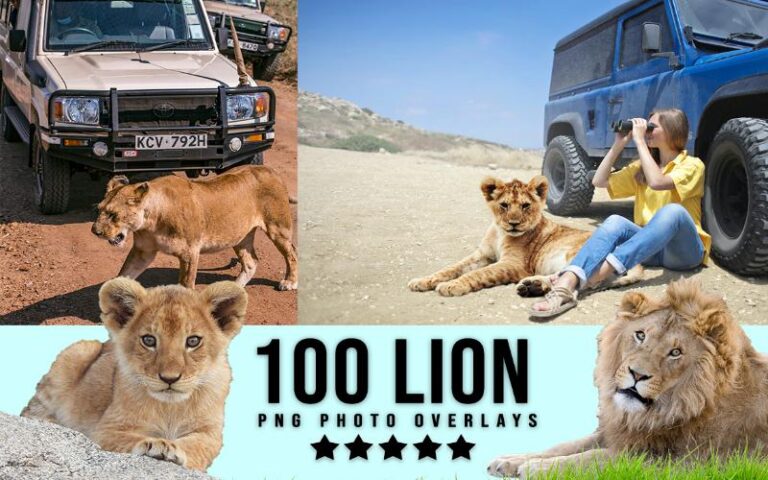 A collage of lion animal png