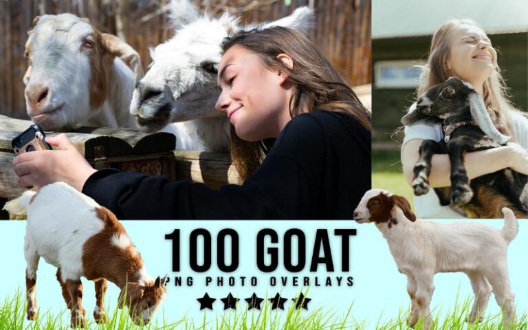 A collage of goat images