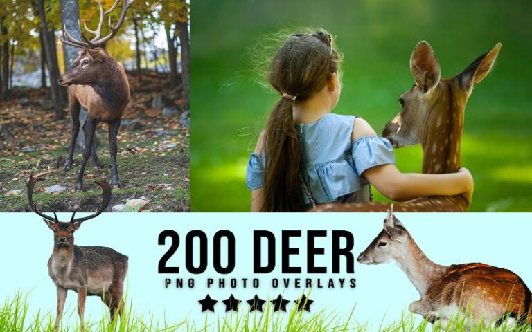 A collage of duck images