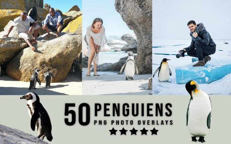 A collage of penguin images