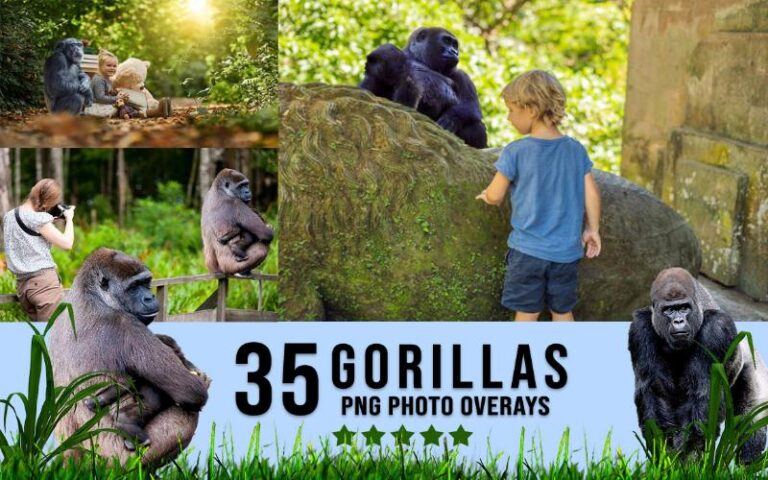 A collage of gorilla images
