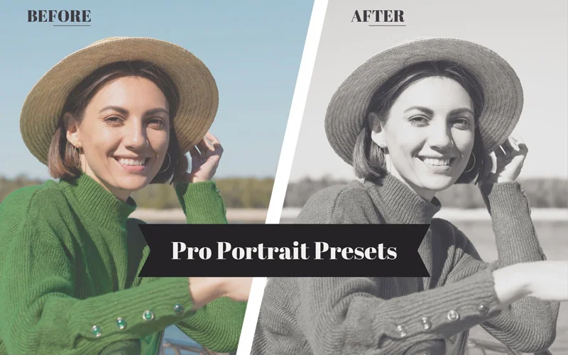 portrait presets, best portrait presets
