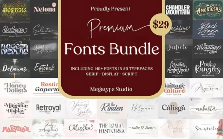 Premium Fonts Bundle Feature Image