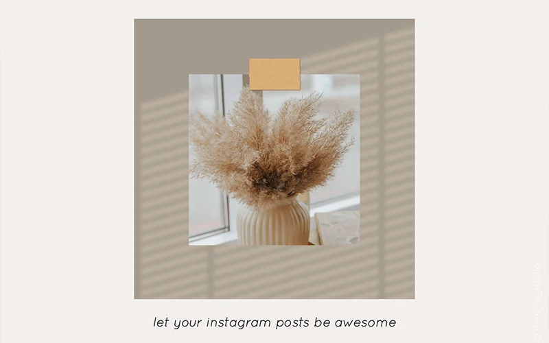 Shadow and Light Overlays used in an instagram post