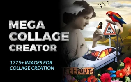 image for collage feature image