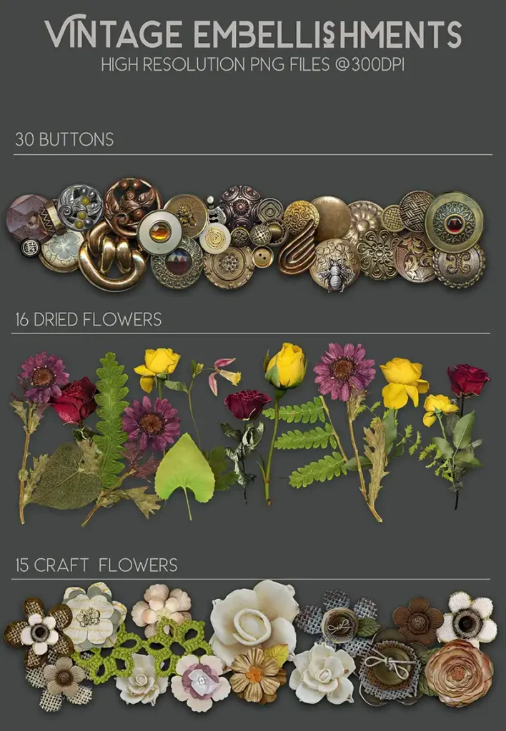 Dried flower images, Button illustrations, Craft flower images