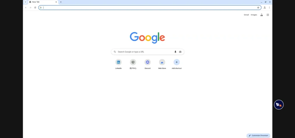 Shared Screen Preview