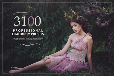 3100 Professional Lightroom Presets Main Image