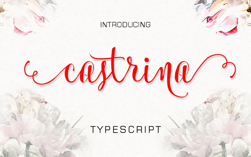 Castrina TypeScript Preview