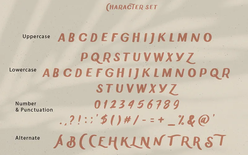 Preview Of Special Charecters Included